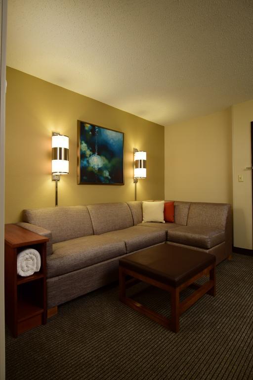 Hyatt Place Dallas Las Colinas Irving Zimmer foto